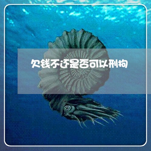 欠钱不还是否可以刑拘/2023102777372