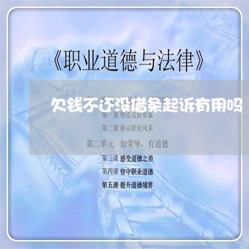 欠钱不还没借条起诉有用吗/2023093083069