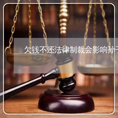 欠钱不还法律制裁会影响孙子吗/2023120867482