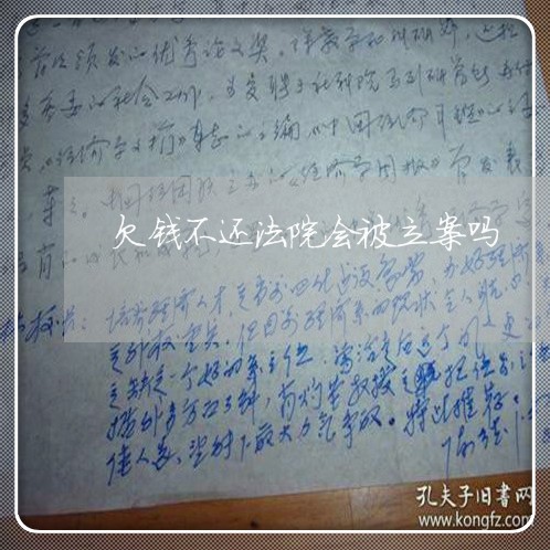 欠钱不还法院会被立案吗/2023110189594