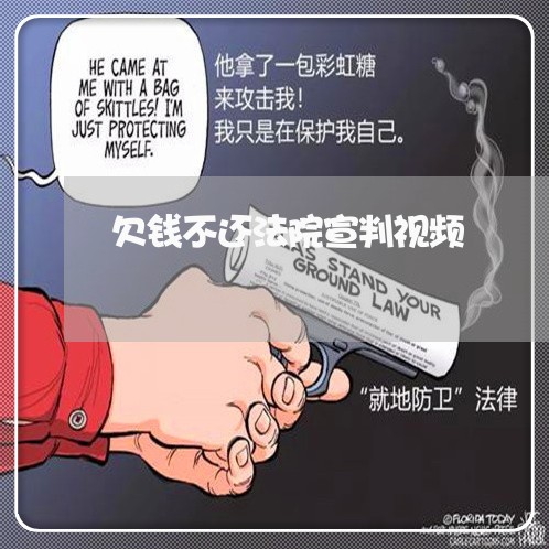 欠钱不还法院宣判视频/2023111549270