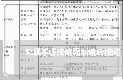 欠钱不还法院强制执行视频/2023112316061