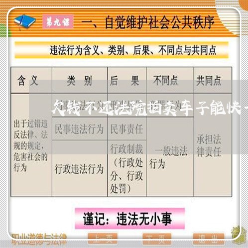 欠钱不还法院拍卖车子能快一点吗/2023120562706