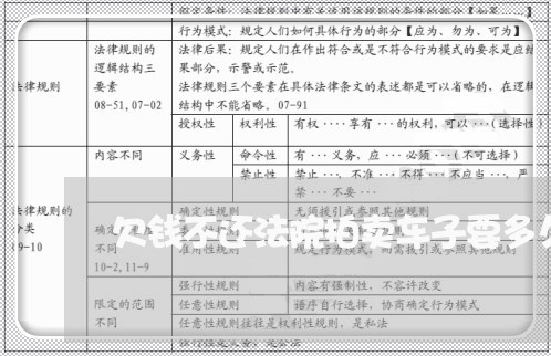 欠钱不还法院拍卖车子要多久/2023112696837