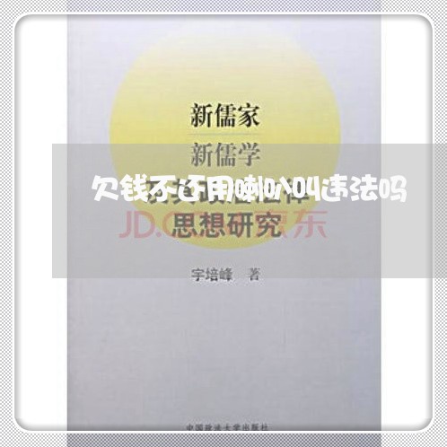 欠钱不还用喇叭叫违法吗/2023112459481