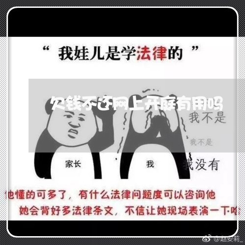 欠钱不还网上开庭有用吗/2023110293749