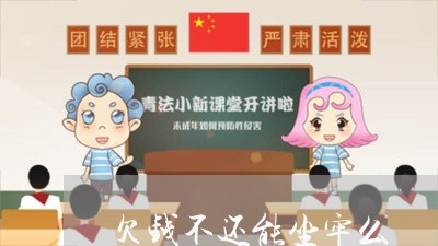 欠钱不还能坐牢么/2023101606027