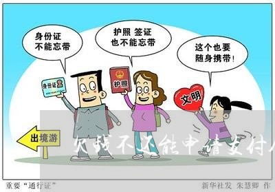 欠钱不还能申请支付令/2023102783615