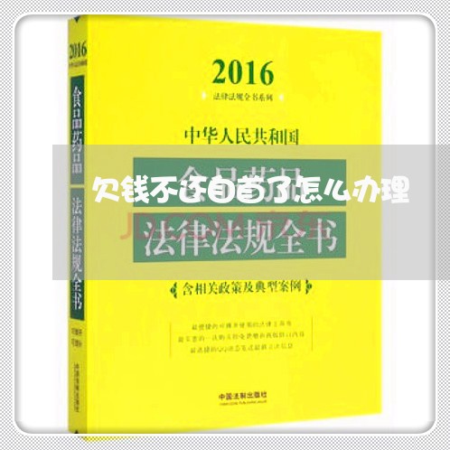 欠钱不还自首了怎么办理/2023092726473