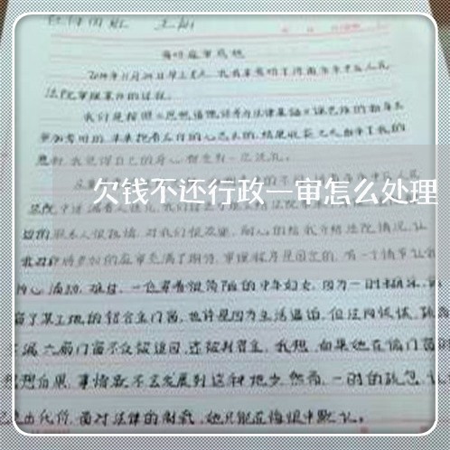 欠钱不还行政一审怎么处理/2023093059493