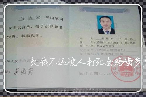 欠钱不还被人打死会赔偿多少钱/2023121062503