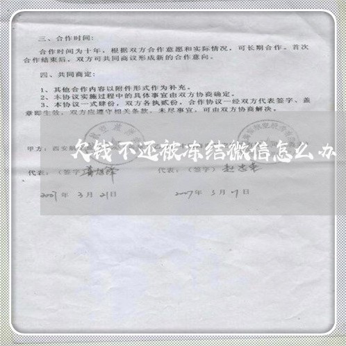 欠钱不还被冻结微信怎么办/2023120417258