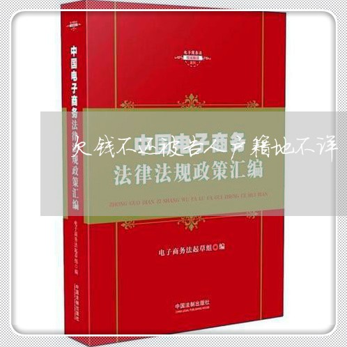 欠钱不还被告人户籍地不详/2023110839282