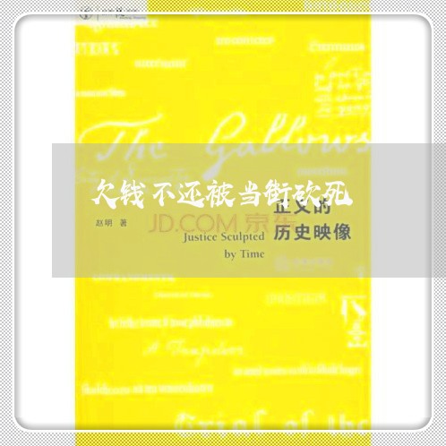 欠钱不还被当街砍死/2023111408593