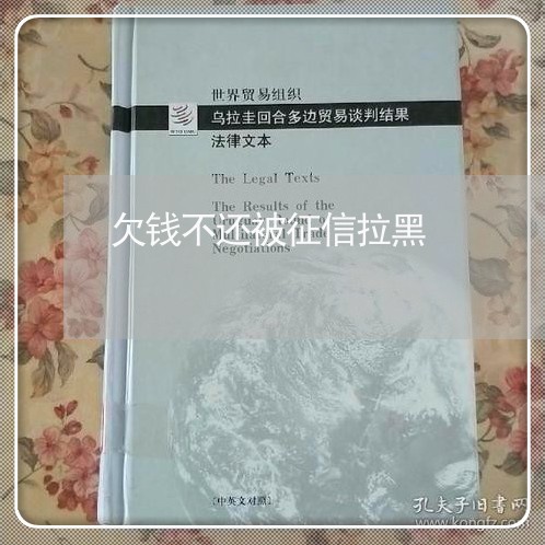 欠钱不还被征信拉黑/2023092173603