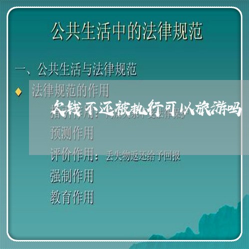 欠钱不还被执行可以旅游吗/2023092717836