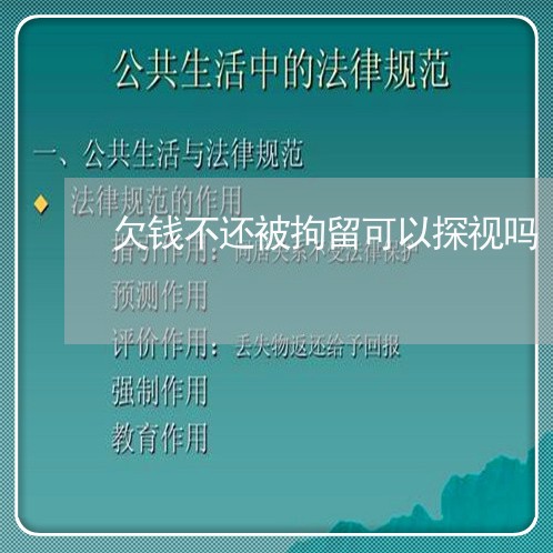 欠钱不还被拘留可以探视吗/2023092050404