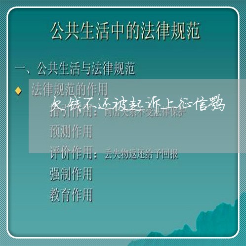 欠钱不还被起诉上征信嘛/2023092260714