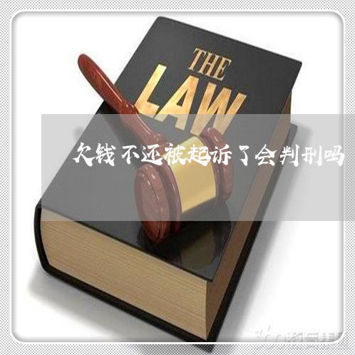 欠钱不还被起诉了会判刑吗/2023092849481