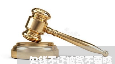 欠钱不还被骂不要脸/2023091561825