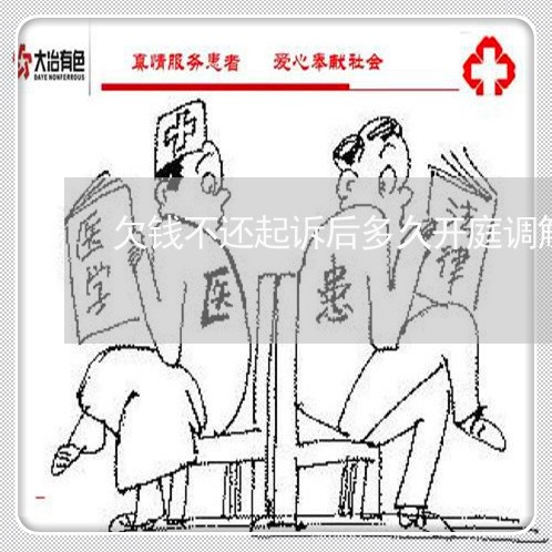 欠钱不还起诉后多久开庭调解呢/2023092862706