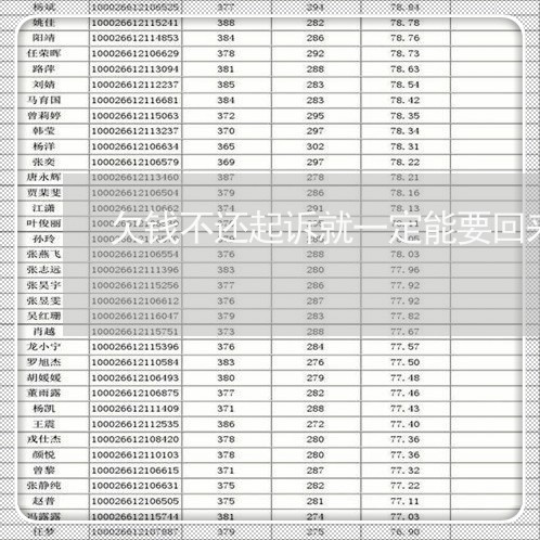 欠钱不还起诉就一定能要回来吗/2023110973603