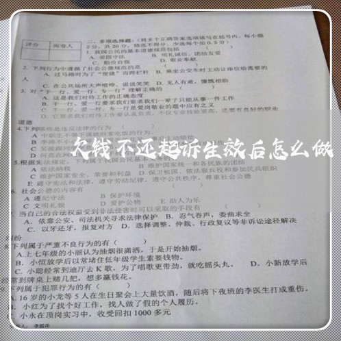 欠钱不还起诉生效后怎么做/2023092716482