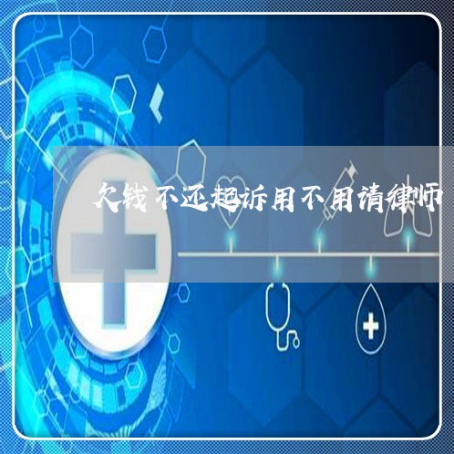 欠钱不还起诉用不用请律师/2023110605050