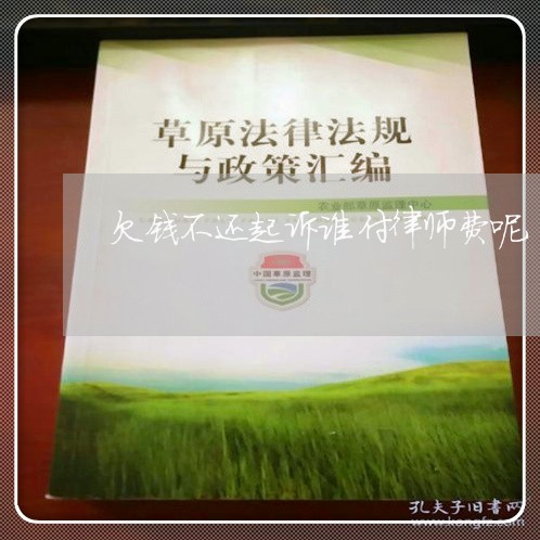 欠钱不还起诉谁付律师费呢/2023120358461