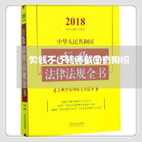 欠钱不还转账截图有用吗/2023092133595