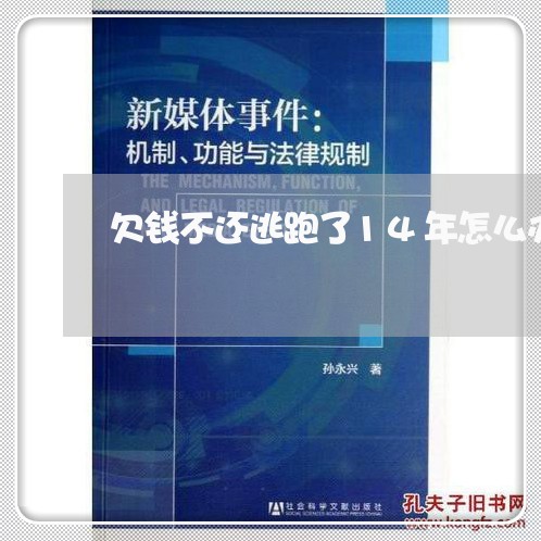 欠钱不还逃跑了14年怎么办/2023120993935