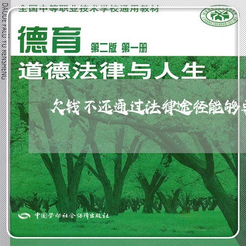 欠钱不还通过法律途径能够要回吗/2023092962512