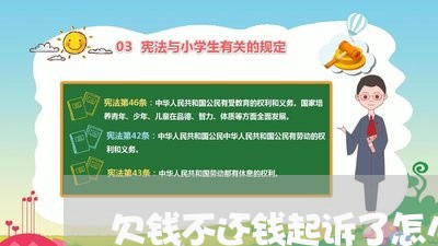 欠钱不还钱起诉了怎么判决/2023110237149