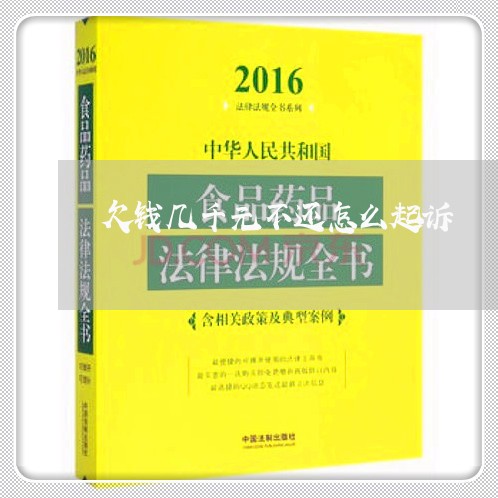 欠钱几千元不还怎么起诉/2023092951272