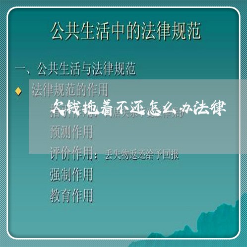 欠钱拖着不还怎么办法律/2023112413806