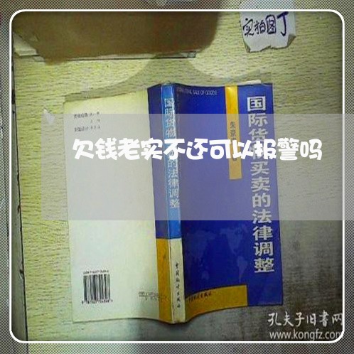 欠钱老实不还可以报警吗/2023110306159