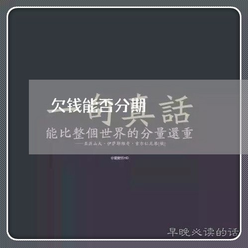 欠钱能否分期/2023100627179