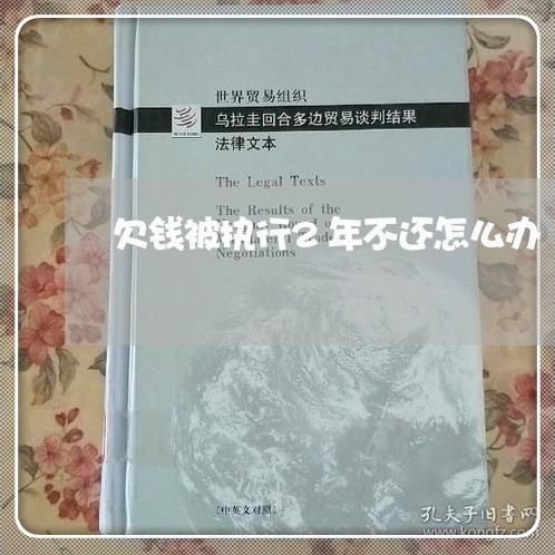 欠钱被执行2年不还怎么办/2023120960693