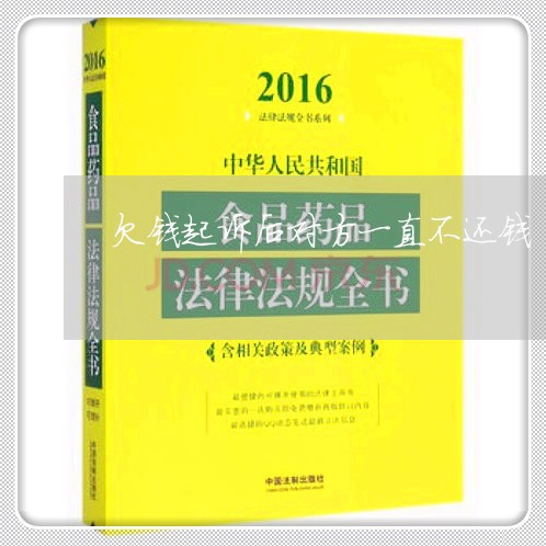 欠钱起诉后对方一直不还钱/2023120906149