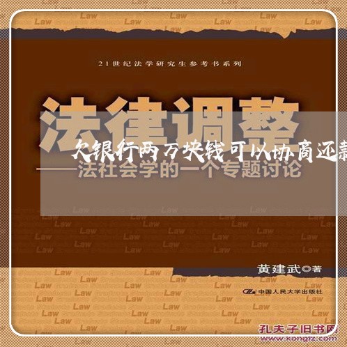 欠银行两万块钱可以协商还款吗/2023100821503