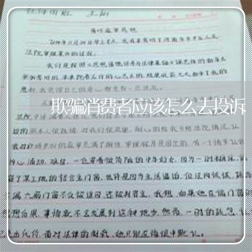 欺骗消费者应该怎么去投诉/2023022069471