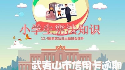 武夷山市信用卡逾期/2023121760593