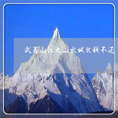 武夷山恒大山水城欠钱不还/2023120411826