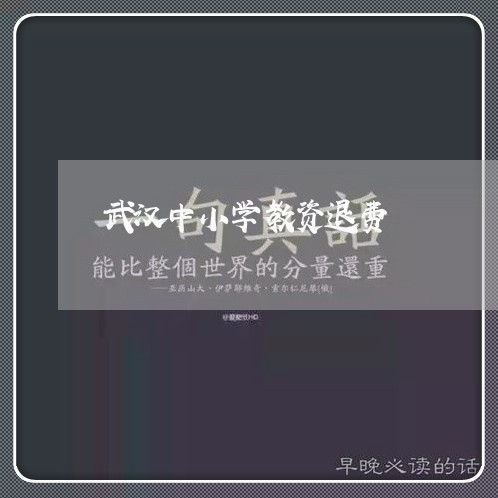 武汉中小学教资退费/2023061028150