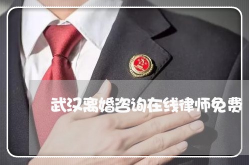 武汉离婚咨询在线律师免费/2023040106046