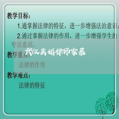 武汉离婚律师家暴/2023093090781