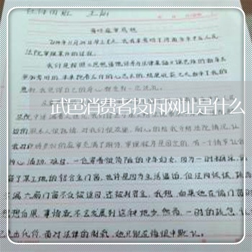 武邑消费者投诉网址是什么/2023032345150