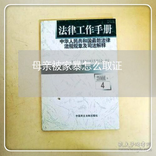 母亲被家暴怎么取证/2023110742924