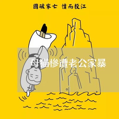 母猫惨遭老公家暴/2023101173492