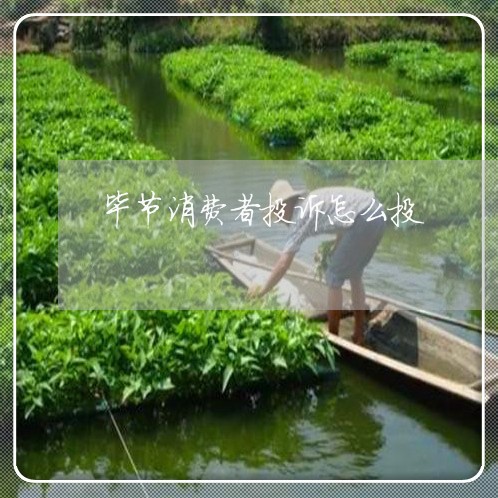 毕节消费者投诉怎么投/2023032268605